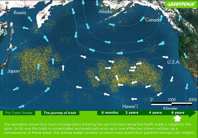 The Pacific vortex is just one of potentially several which could be floating in major current systems. © MIAA